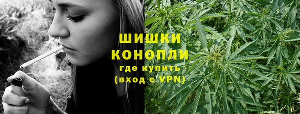 ПСИЛОЦИБИНОВЫЕ ГРИБЫ Медногорск