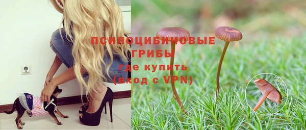 ПСИЛОЦИБИНОВЫЕ ГРИБЫ Медногорск