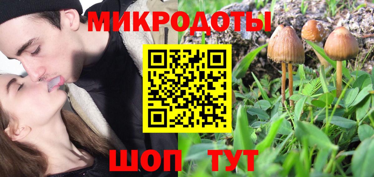 Галлюциногенные грибы Cubensis Златоуст