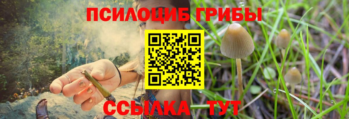 Псилоцибиновые грибы мухоморы  Вход с VPN  Златоуст 